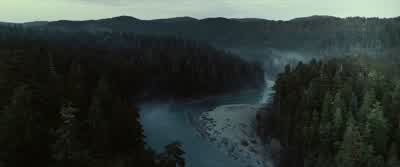 We have a communityIt's safe hereHow many of you are thereAre any of them childrenBecause the fastest way to get here is by the riverand I don't think you could make it with kids - Bird Box