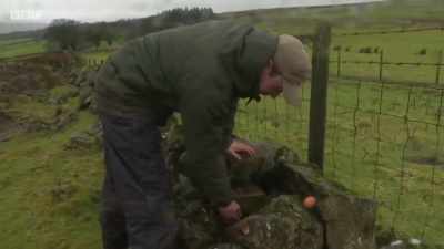 We have a little entry hole here. - Chronicles of the Glens