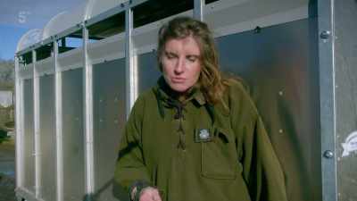 We have a new trailer
and a new bull, so... - Our Yorkshire Farm