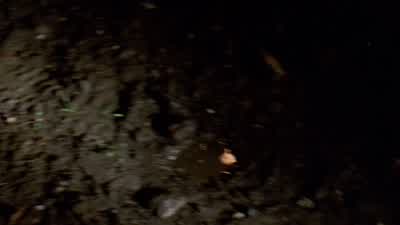We have a runner. - The Wire