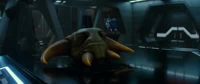 We have a spy in our ranks... - Star Wars: The Rise of Skywalker
