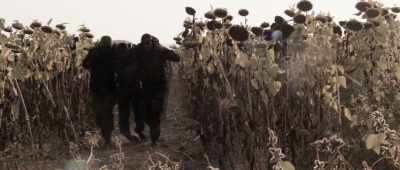 We have a tight window - Jarhead: Law of Return