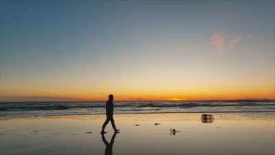 We have to ask ourselves, - A Brief History of the Future