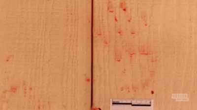- We have bloodstains,
bullet holes, and a cell. - Manifesto of a Serial Killer