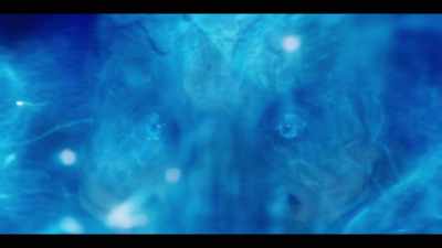 We have come to Pahvo for your help. - Star Trek: Discovery