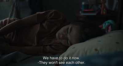 We have to do it now.
-They won't see each other. - 20,000 Species of Bees