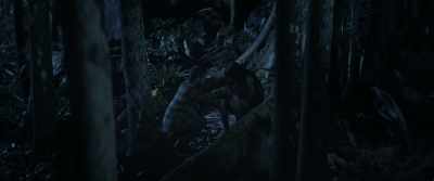 We have to find the opening
in the river tomorrow, - Jungle