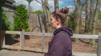 We have four cougars here
and he's by far the largest. - Secrets of the Zoo