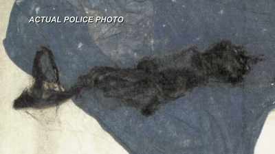 WE HAVE HAIR EXTENSIONS
THAT ALEXIS MURPHY WORE - Hometown Homicide