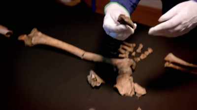 We have here, for instance,
soot in parts. - Curse of the Ancients with Alice Roberts