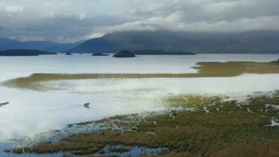 We have just enough time
and just enough nature left - Wild Isles