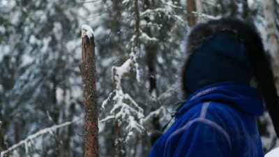 We have more like,
scent bait up there and - Life Below Zero: First Alaskans