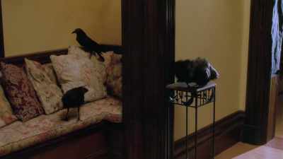 We have to pull the plug on this party.
You wanna - Charmed