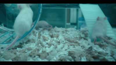 We have robust evidence - Don't Die: The Man Who Wants to Live Forever