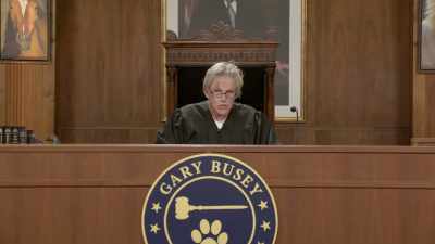 We have some very interesting
casework going on here. - Gary Busey: Pet Judge