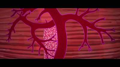 We have storage in our muscles - What the Health