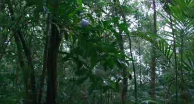 We have struggled so far... - Onoda: 10,000 Nights in the Jungle