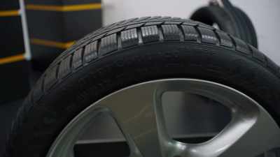 We have Taraxacum tyres here, - This Giant Beast That is the Global Economy