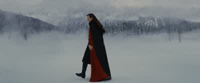 We have them on the run. - The Twilight Saga: Breaking Dawn   Part 2