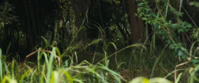 - We have to jump! - Jumanji: Welcome to the Jungle