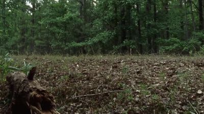 We have today and only
today to find somethin'. - The Walking Dead
