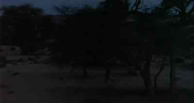 -We have to watch that guy.
-The hyena? - The Gods Must Be Crazy II