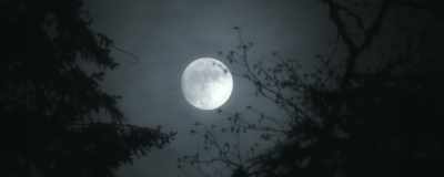 We have work to do - Bram Stoker's Van Helsing