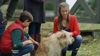 We haven't been quite ready
for a new dog - Love on Harbor Island