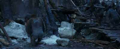 We haven't had food or
water since we got here... - War for the Planet of the Apes