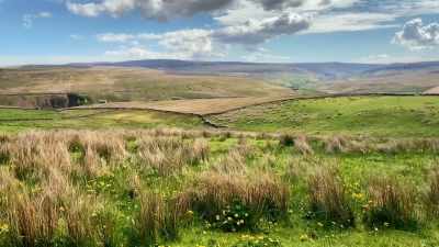 We haven't got one field - Our Yorkshire Farm