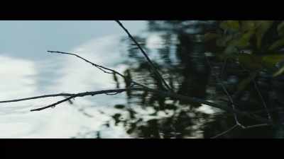 We… - The Buckingham Murders