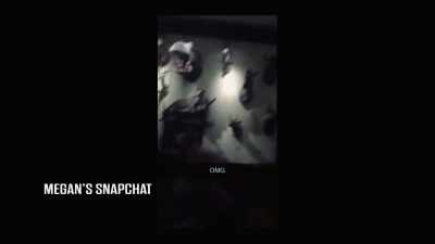 We were in a room - Victim/Suspect