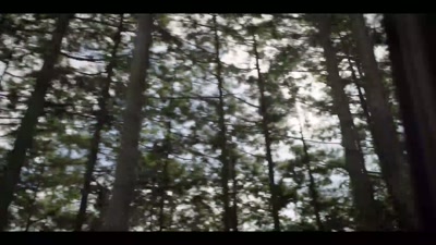 We just arrived at the urushi tree forest. - Chasing Waves