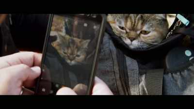 We just decided it would
be something fun to do - Cat Daddies