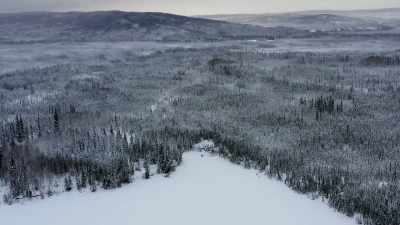 We just gotta make sure
that it'’s built as nice - Life Below Zero: Next Generation