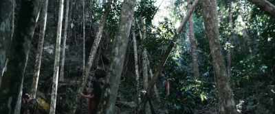 We just... have to keep heading
for Rurrenabaque, - Jungle