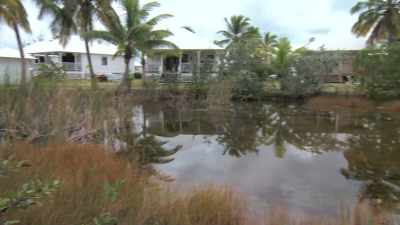 We just have to manage
it and make sure - Island of Bryan