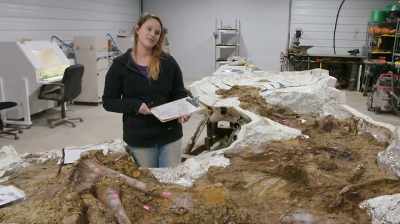WE JUST WANT TO PRESERVE
THAT INFORMATION FOREVER - Dino Hunters