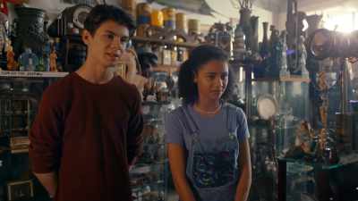 We were just wondering, - The Curious Case of Dolphin Bay
