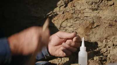 WE KEEP HITTING BONES AND BONES
AND MORE BONES. - Dino Hunters