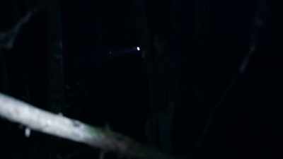  We kept going forward. - Expedition Bigfoot