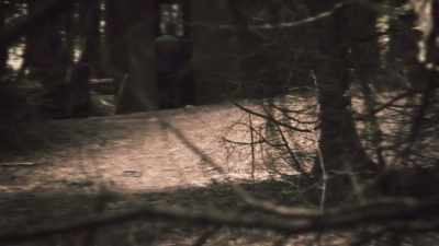 We knew Ted had
at least one weapon, - Unabomber: In His Own Words