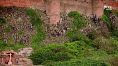 We know he was deposed at least once - Curse of the Ancients with Alice Roberts