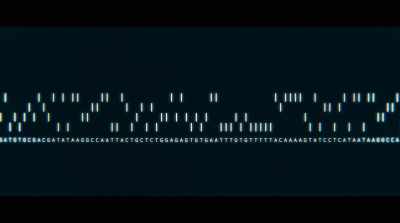 -We know that we could
engineer a single gene, - Human Nature