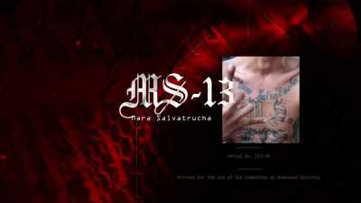 We know that the MS-13 gang members - Trump 2024: The World After Trump