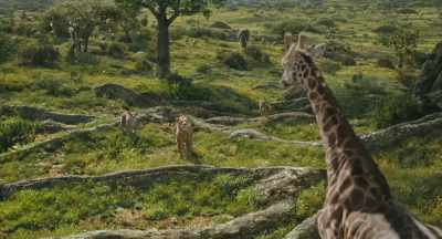 We know the Outsiders
are hunting you, - Mufasa: The Lion King