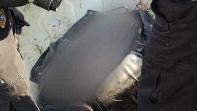 We later learned that cause
of death was asphyxiation, - Interrogation Raw