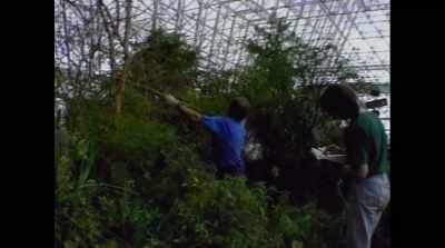 ‐ We were learning
the most phenomenal amount - Spaceship Earth