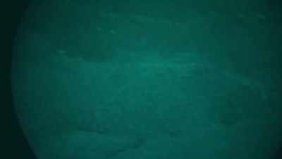 We left you guys, uh, an offering. - Jack Osbourne's Night of Terror: UFOs