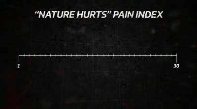We like to call it
"Nature Hurts." - Kings of Pain